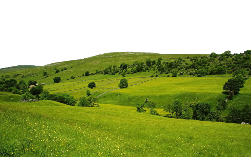 Hills